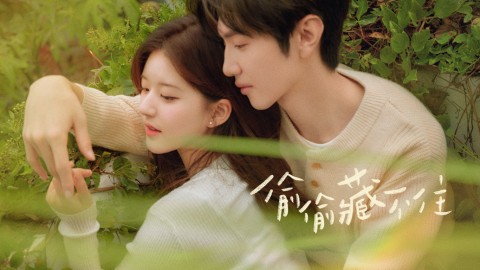 Hidden Love
